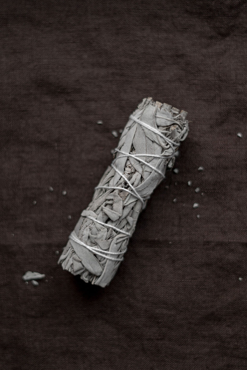 Yuman Cleanse Ritual - Bild 5