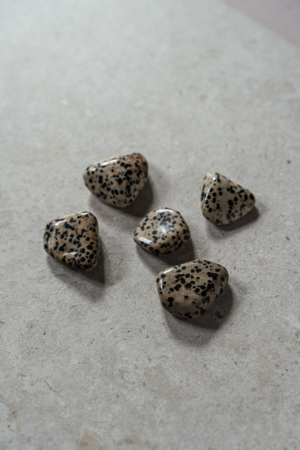 Yuman Dalmatian Stone - Image 5