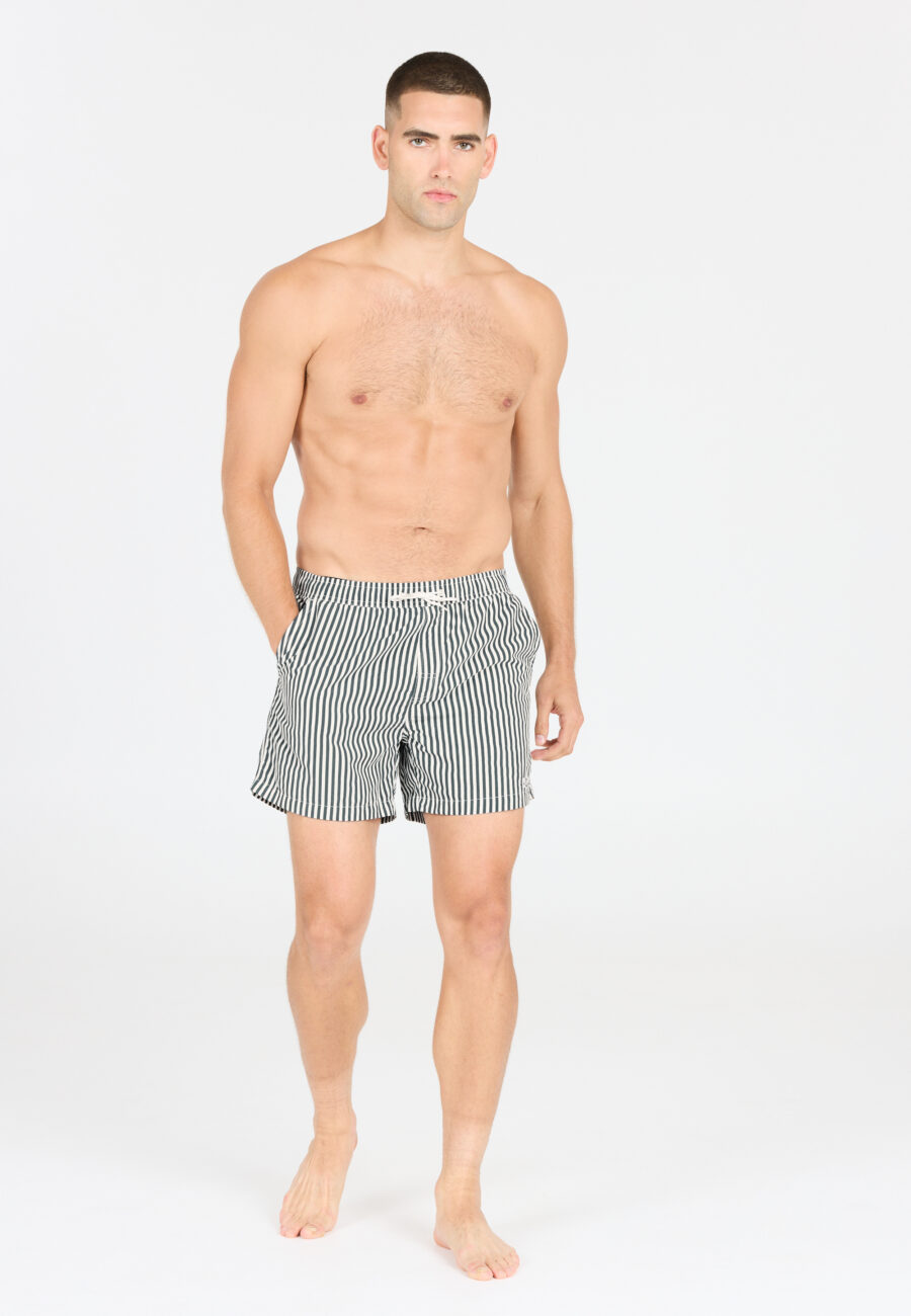 Virtus Cullen Striped Board Shorts, Dusty Forest - Image 4