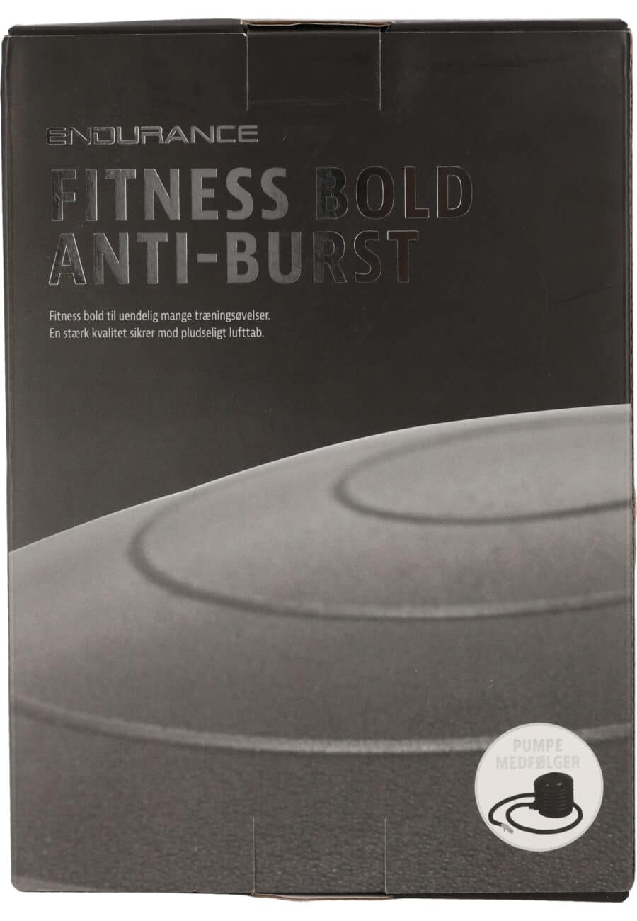 Endurance Fitness Gym Ball 55 CM, silver - Image 4