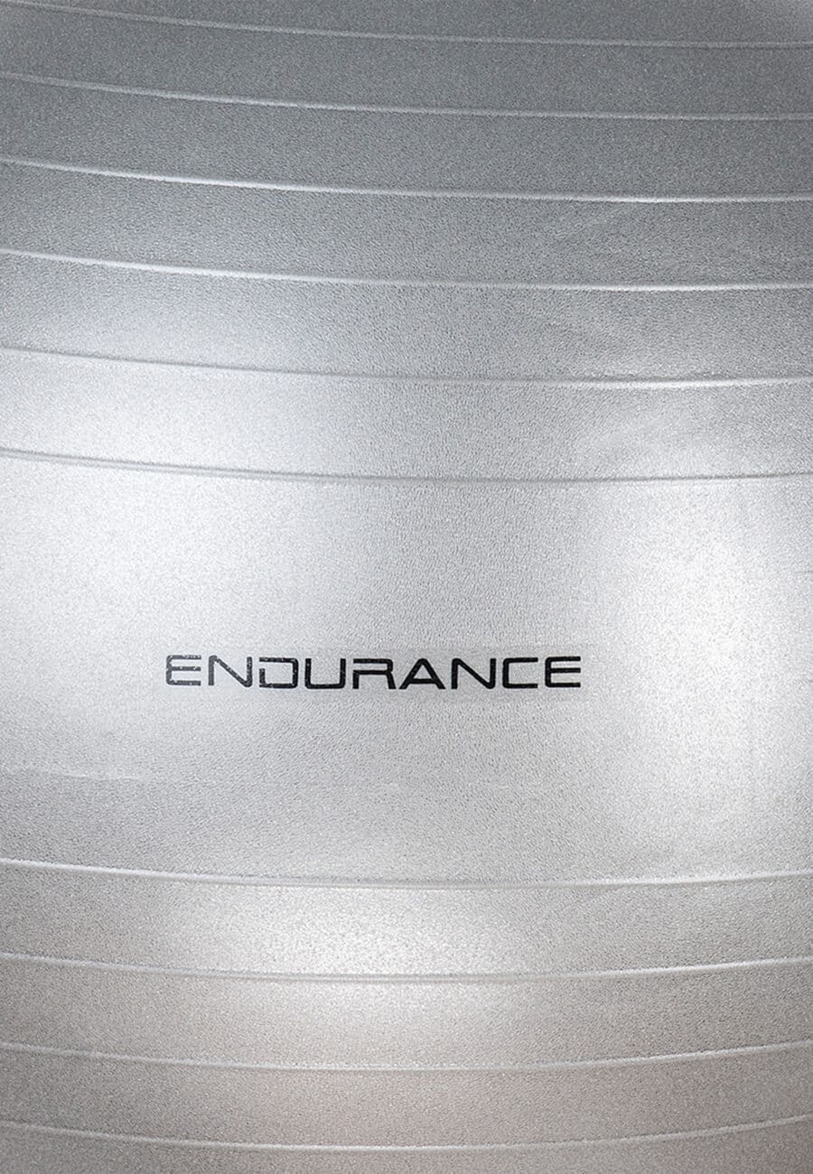 Endurance Fitness Gym Ball 55 CM, silver - Image 3