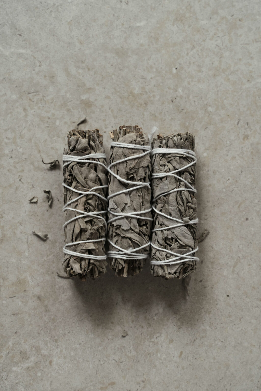 Yuman White Sage Smudge - Image 3