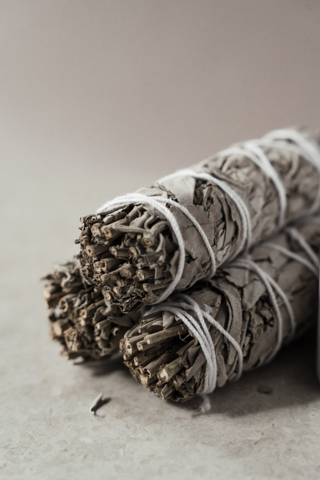 Yuman White Sage Smudge - Image 2
