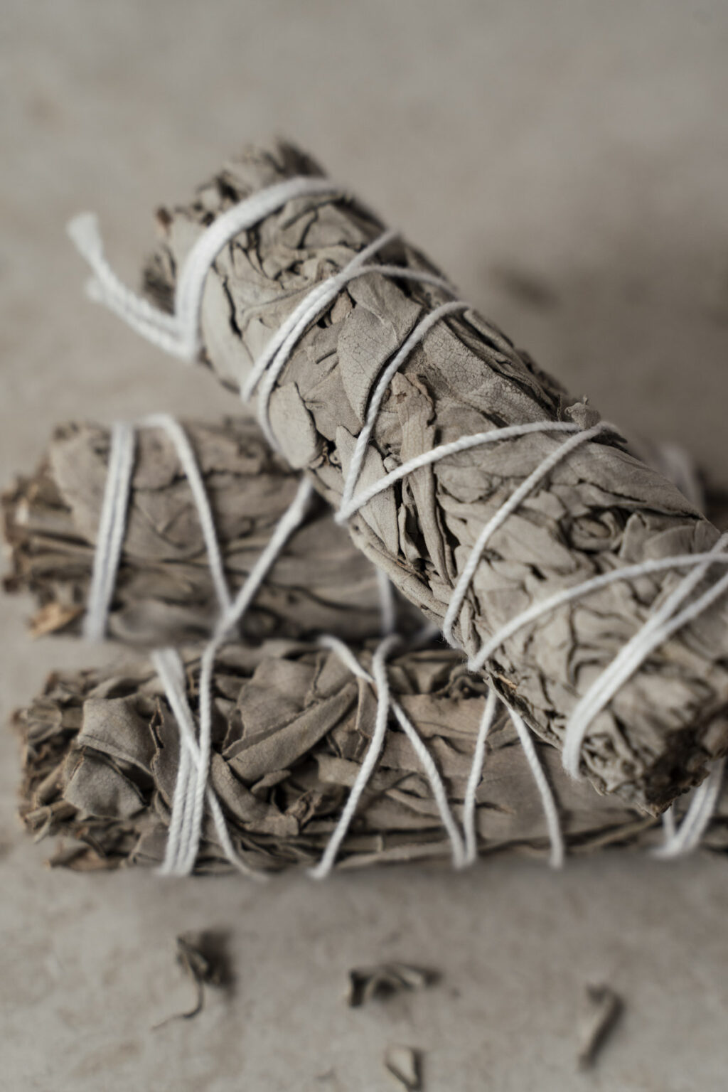Yuman White Sage Smudge - Image 4