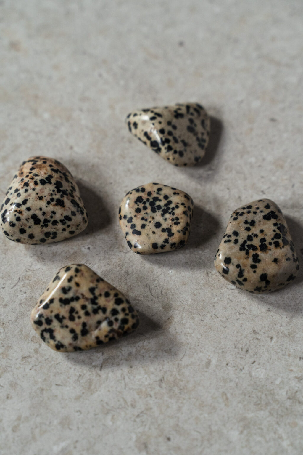 Yuman Dalmatian Stone - Image 4