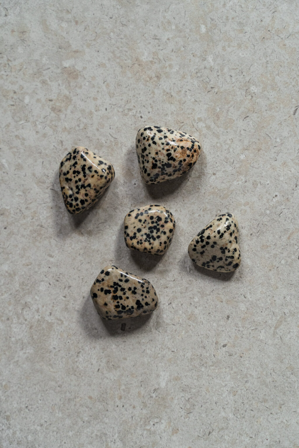 Yuman Dalmatian Stone - Image 3