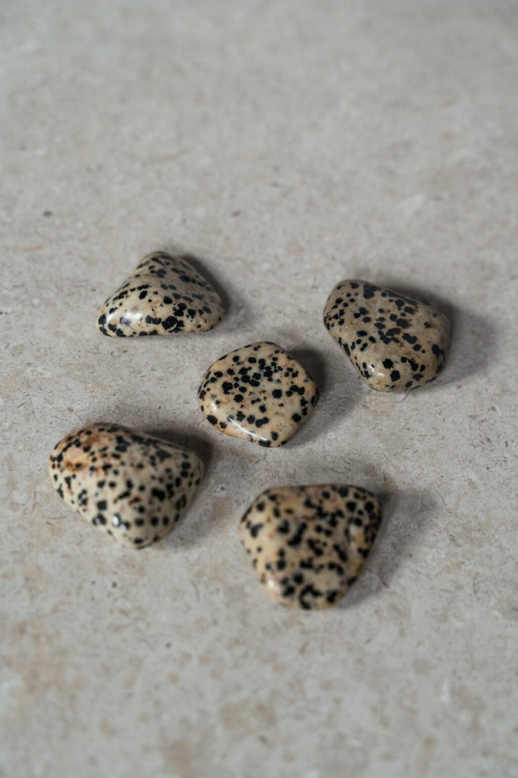 Yuman Dalmatian Stone - Image 2