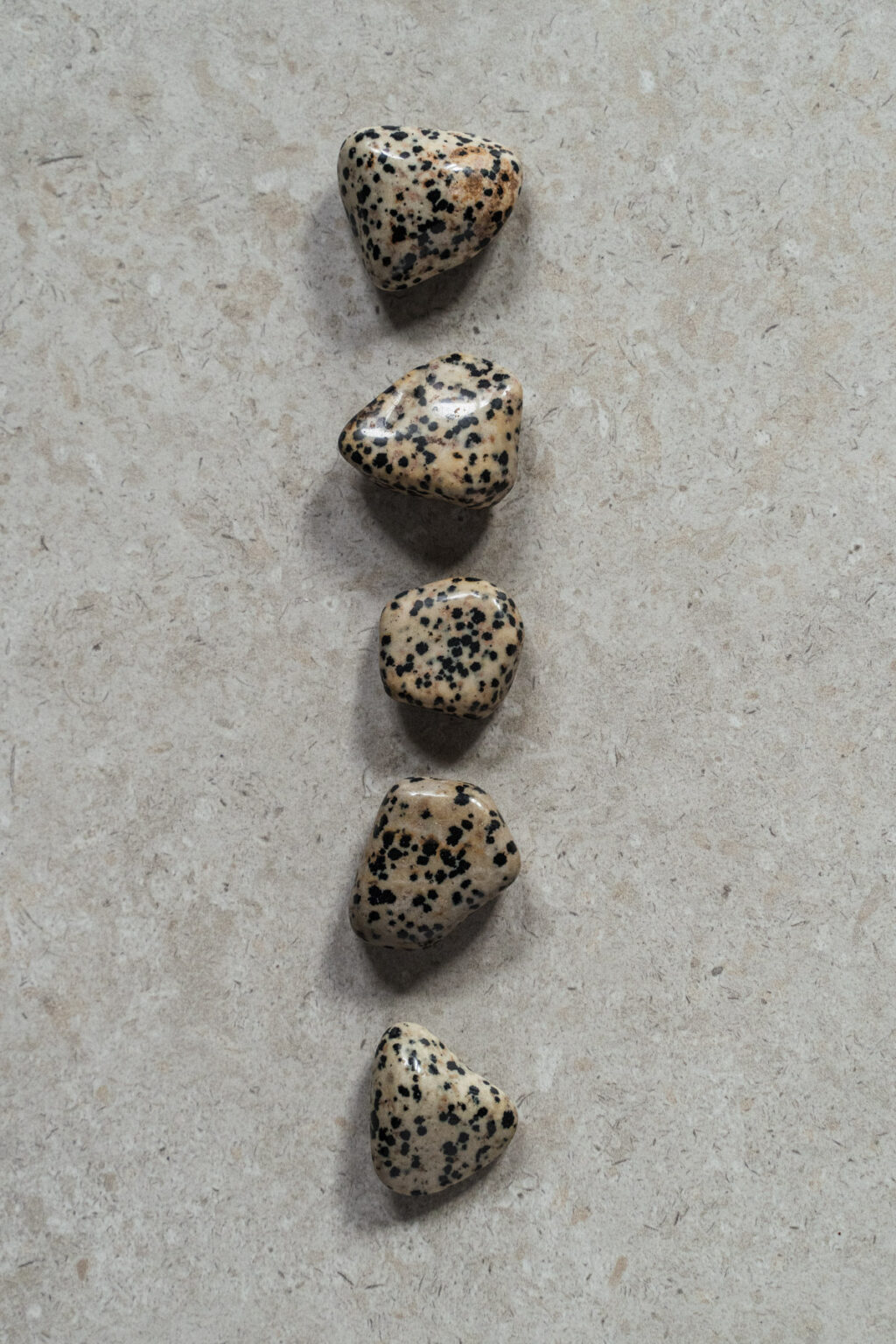 Yuman Dalmatian Stone