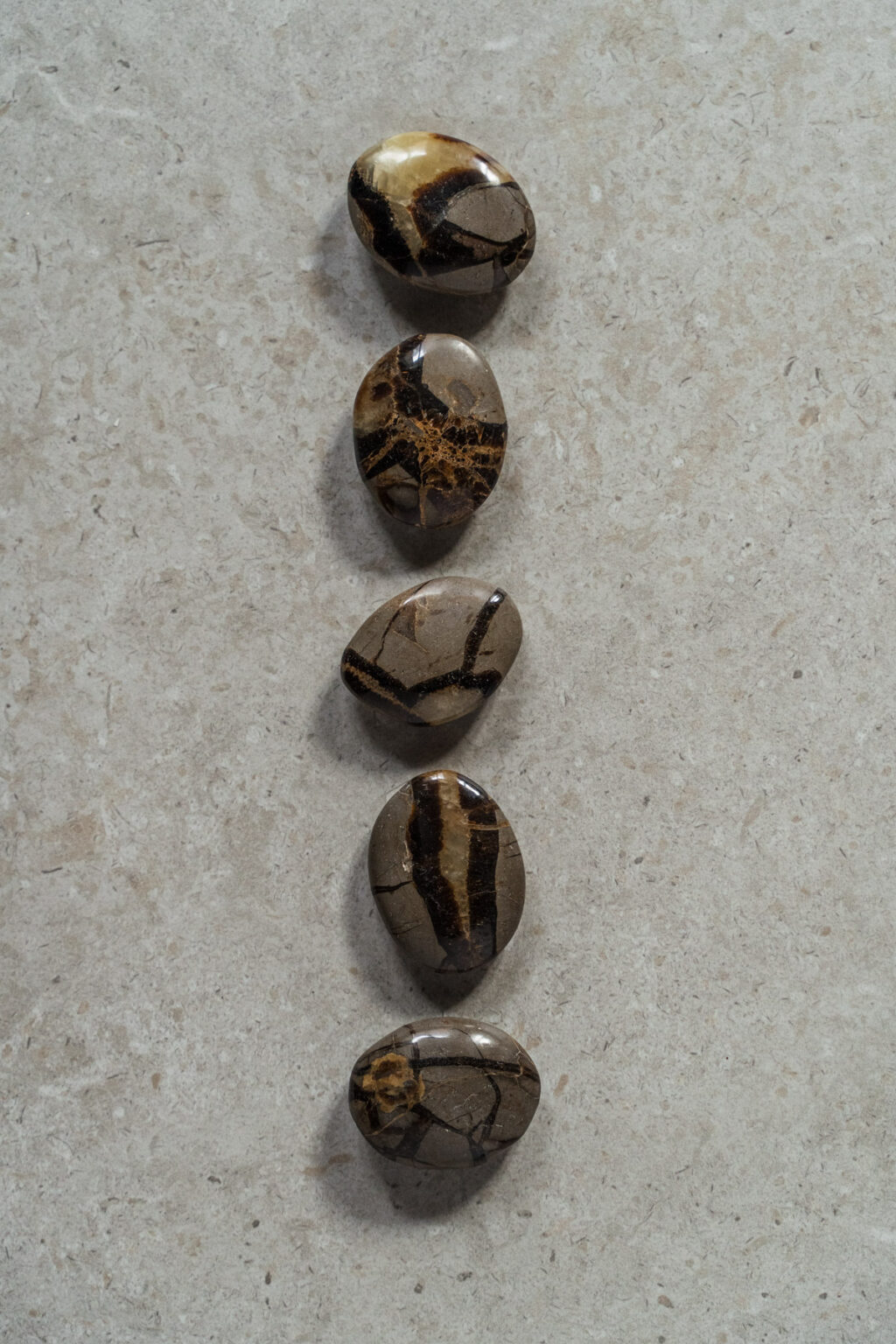 Yuman Crystal Septarian
