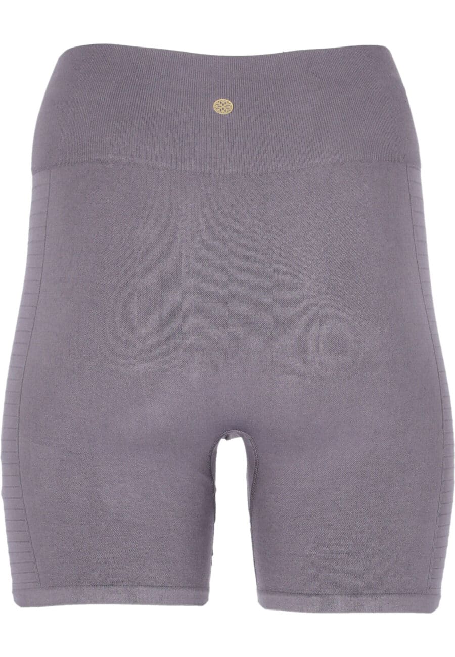 Athlecia Nagar High Waist Biker Shorts, Repose - Image 4